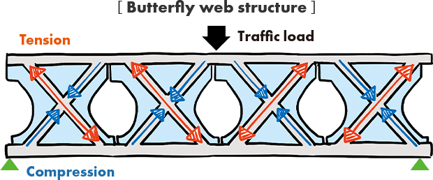 ［ Butterfly web structure ］