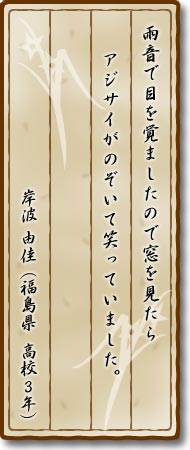 雨音で目を覚ましたので窓を見たらアジサイがのぞいて笑っていました。岸波由佳(福島県・高校3年)